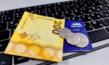 Мошенники на удаленке. Какими методами пользуются сейчас?