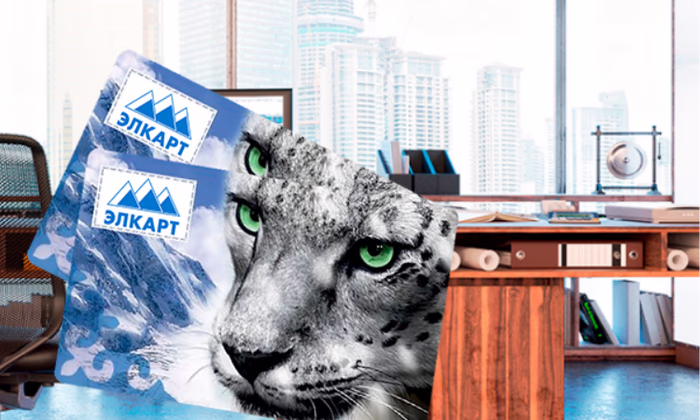 Какие новые продукты НПС «Элкарт» будут доступны в будущем году?