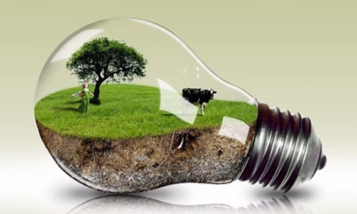 В Бишкеке пройдут форум и выставка технологий «зеленой» экономики