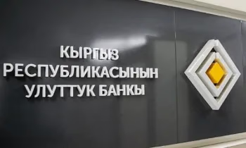 НБ КР предлагает ввести комиссионные сборы за обмен «белых» долларов
