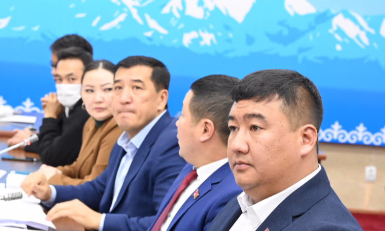 Депутаты одобрили изменения в Кодекс о неналоговых доходах