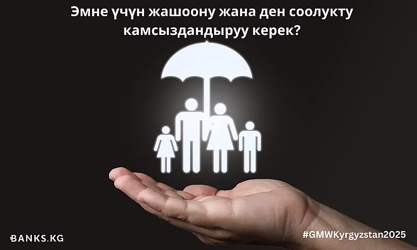 Эмне үчүн жашоону жана ден соолукту камсыздандыруу керек: аргументтер, мисалдар, перспективалар