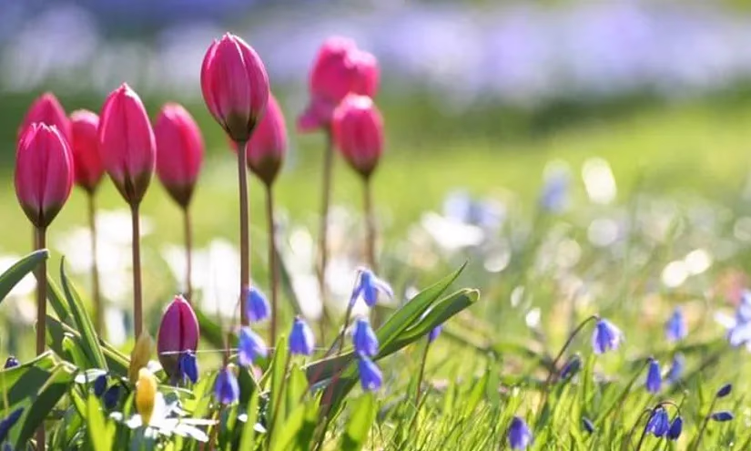 Как работают банки Кыргызстана в майские праздники