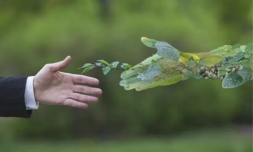 В рамках проекта Всемирного банка Гарантийный фонд запустит «Зеленые гарантии»