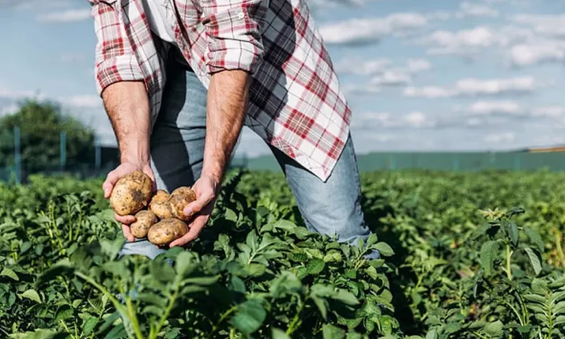 Бизнесмены Ошской и Чуйской областей стали лидерами по объему полученных гарантий