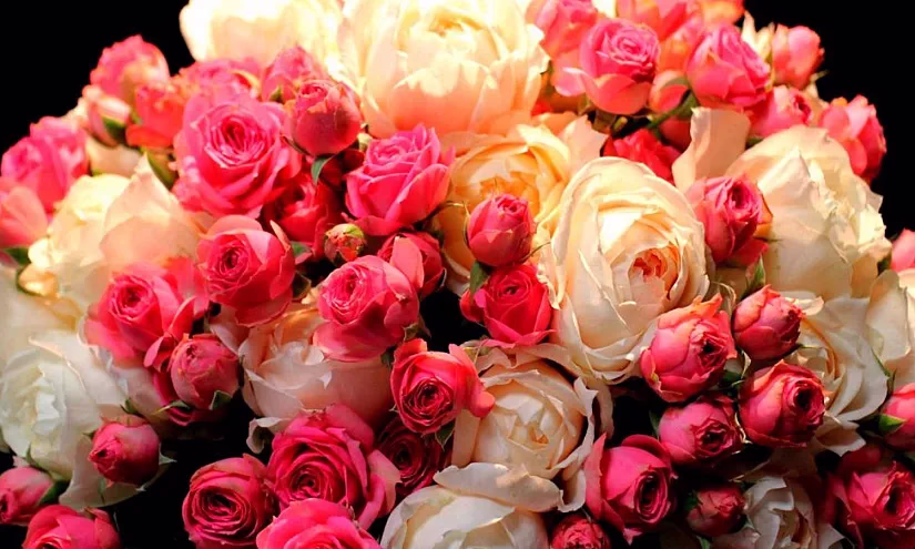 Реальные истории успеха кыргызстанцев, или С днем рождения, Гарантийный фонд!