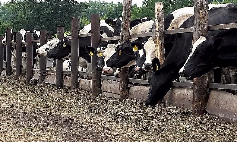 АЧК-13 долбоору боюнча 3,5 млрд сом жеңилдетилген насыялар каржыланды