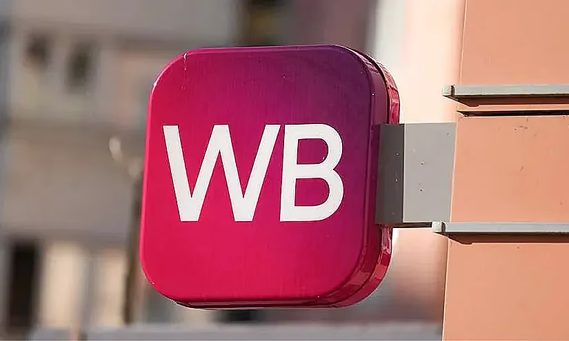 Wildberries Кыргызстандагы ишкерлер үчүн жаңы сатуу моделин ишке киргизди