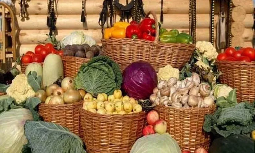 «Банк Компаньон» провел агротренинг для семей мигрантов в Беш-Тереке