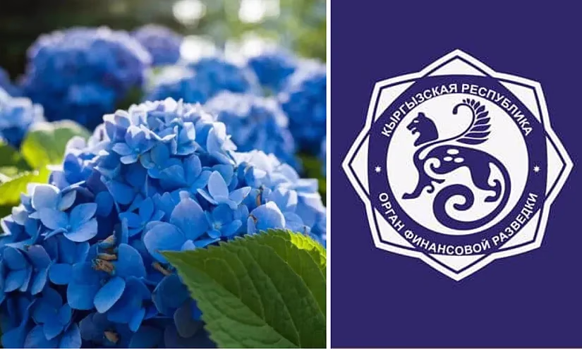 Государственной службе финансовой разведки КР - 20 лет