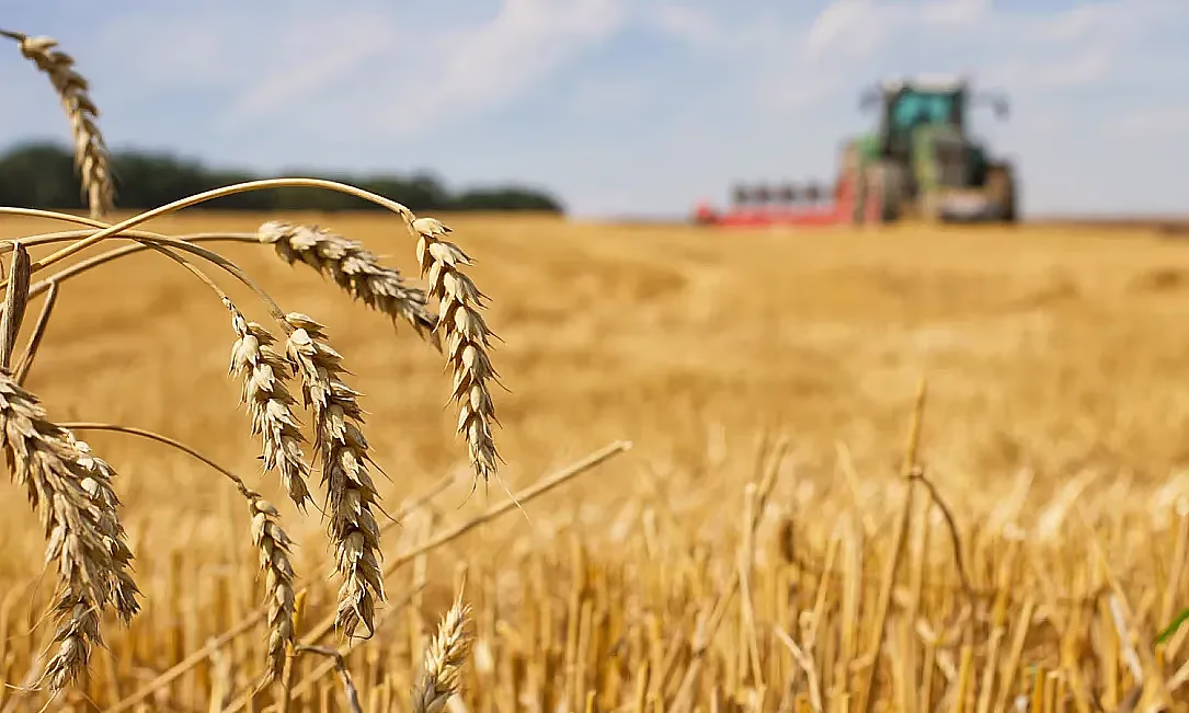 АЧК-13 долбоору боюнча 4 млрд сом жеңилдетилген насыялар каржыланды