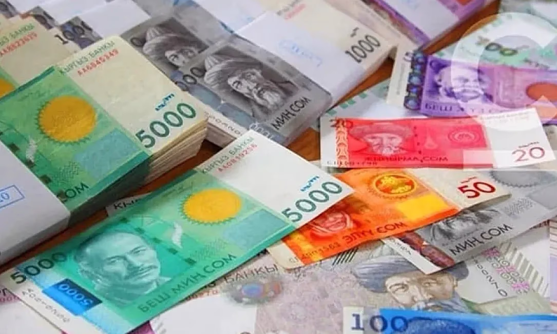 Бишкекте улуттук валютаны жырткан чет элдик жаран өлкөдөн чыгарылат