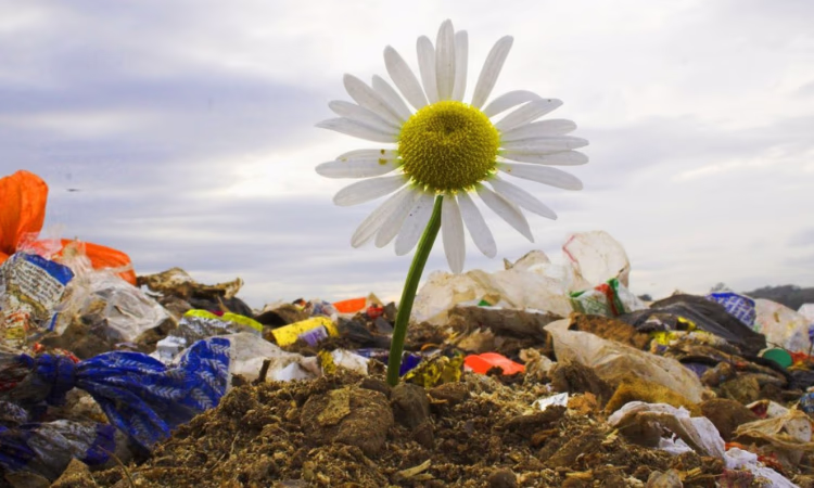 Комбанки страны приняли участие в акции «Всемирный день чистоты-2021»