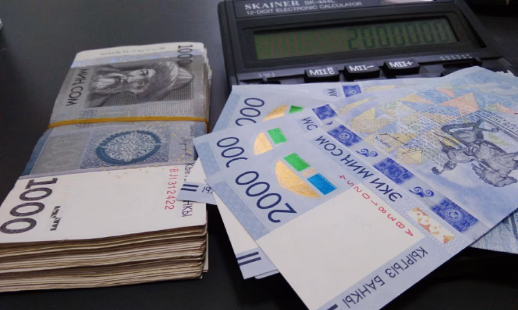 Патенты обошлись кыргызстанцам в два млрд сомов