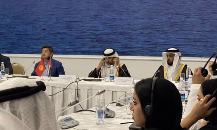 Отмечена деловая активность между бизнес-структурами ОАЭ и КР