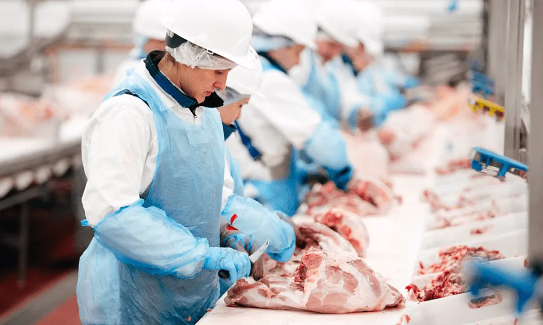 На развитие мясной отрасли направят 1,5 млрд сомов льготных кредитов