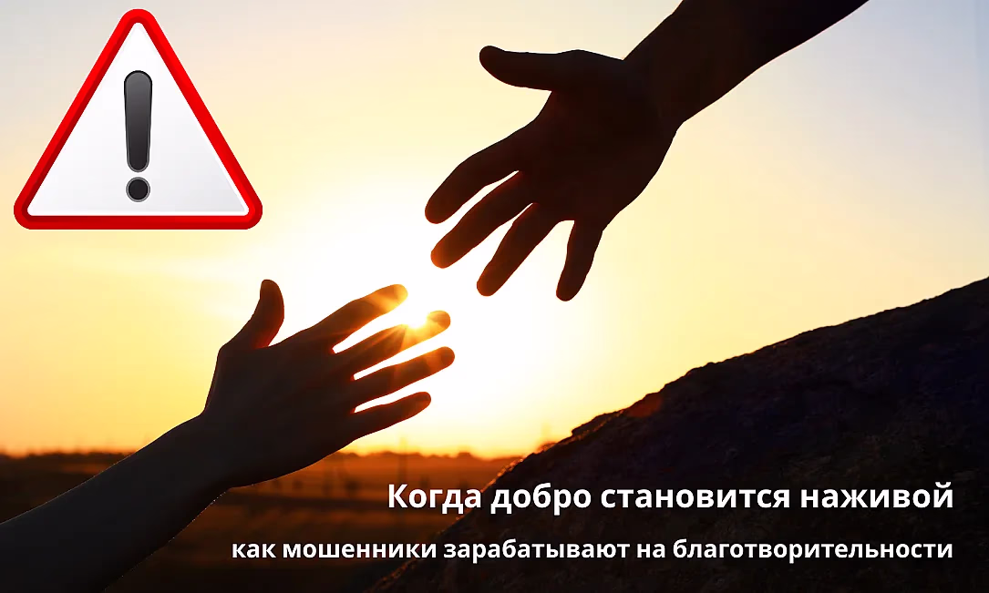 Когда добро становится наживой: как мошенники зарабатывают на благотворительности