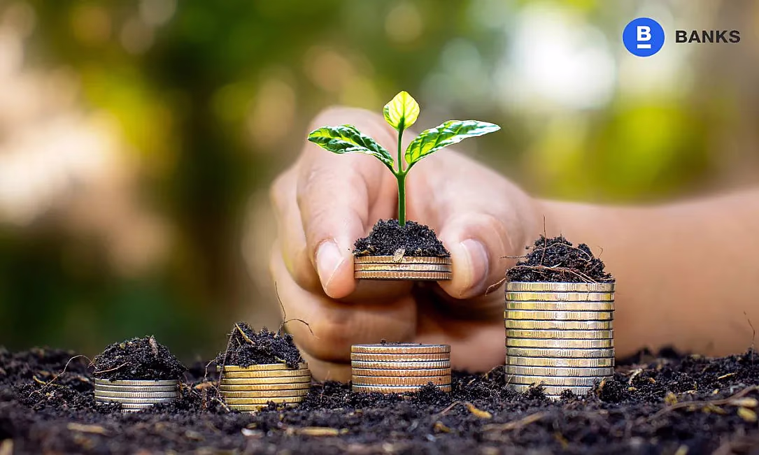 Дыйкандарга 3% менен насыя берилет: шарттары кандай