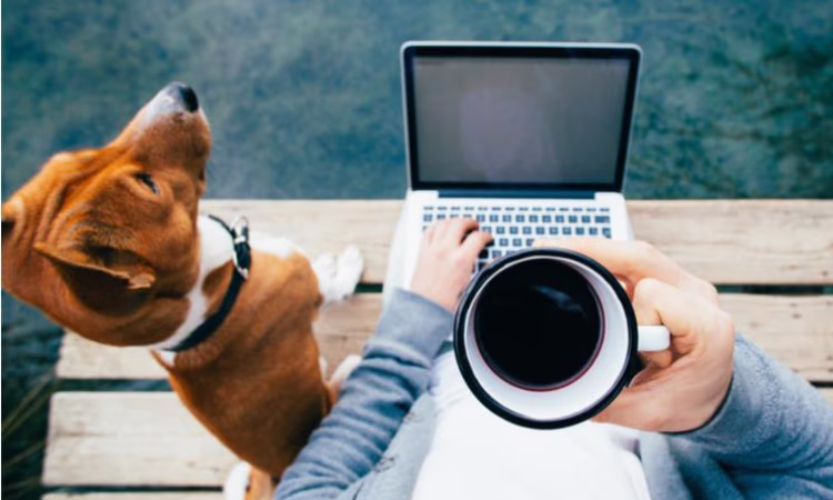 Каковы особенности трудовых взаимоотношений на удалёнке