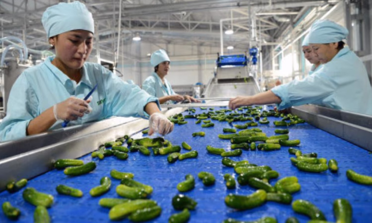 Финансирование «Прод Импекс» важно для освоения регионов страны