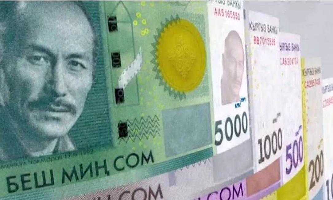 Кыргызстандын казынасы пландан тышкары 20 млрд сомдон ашык каражатка толукталды
