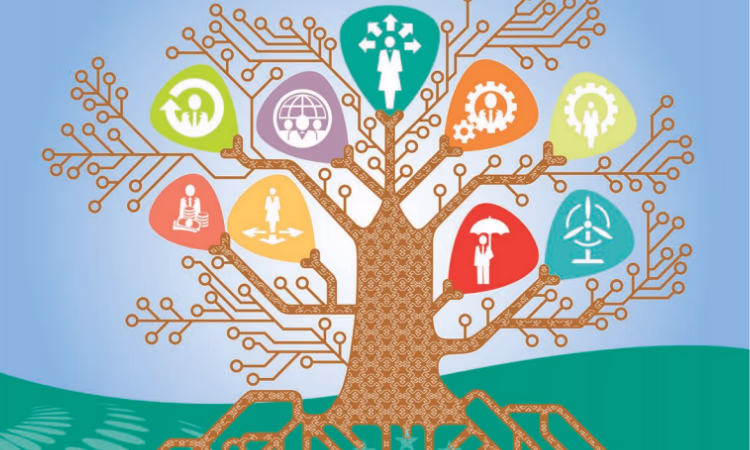 В чем отличие МСФО для малого и среднего бизнеса?