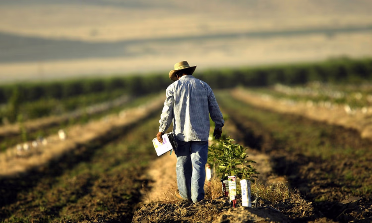 Фермерам по программе ФСХ-9 выдан уже почти один млрд сомов