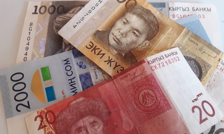 Лидером в микрокредитовании-2020 стала Ошская область