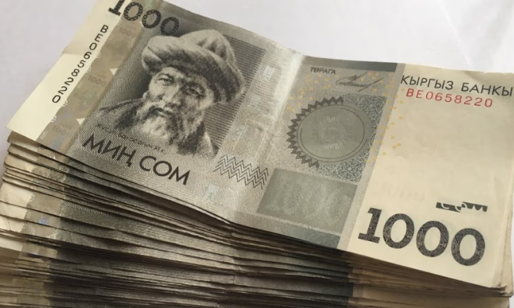 Банки выдали уже более 600 кредитов по программе «ФСХ – 9»