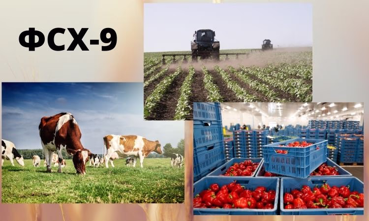 Банки, которые участвуют в программе «ФСХ-9»