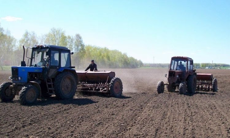 Условия программы «Финансирование сельского хозяйства – 9»