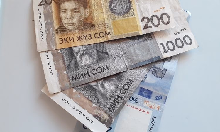 Доля расчетов в сомах при торговле с Казахстаном увеличилась