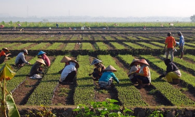 Фонды развития регионов помогут предпринимателям