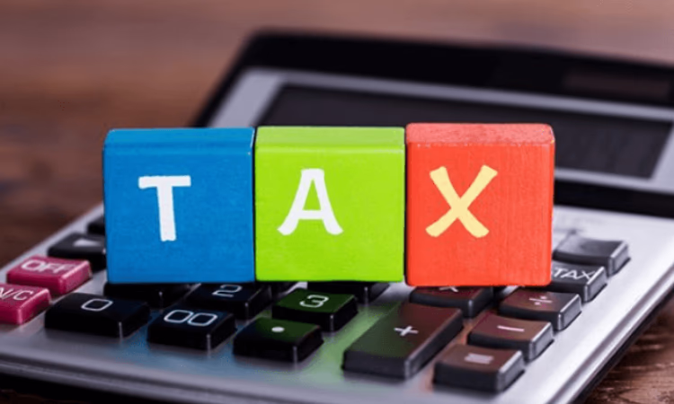 Более 23 000 налогоплательщиков выбрали налоговый режим