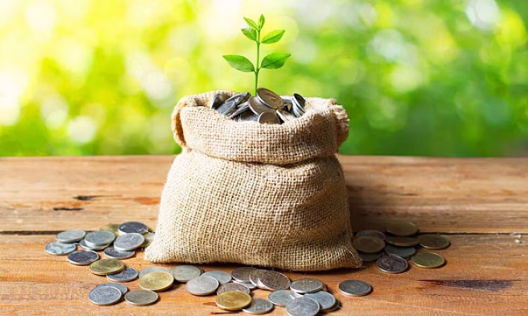 НБ КР представил проекты, касающиеся деятельности гарантийных фондов