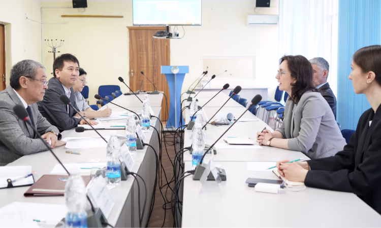 Всемирный банк продолжит сотрудничество с Нацстаткомом КР