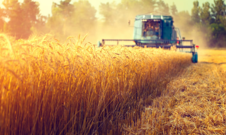 Для участия в проекте «ФСХ-10» отобраны восемь банков