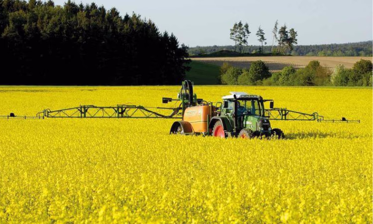 Фермеры и агрокластеры получат кредиты в нацвалюте под 6% годовых