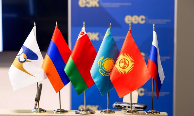 Лидером по росту производства сельхозпродукции в ЕАЭС стал Кыргызстан