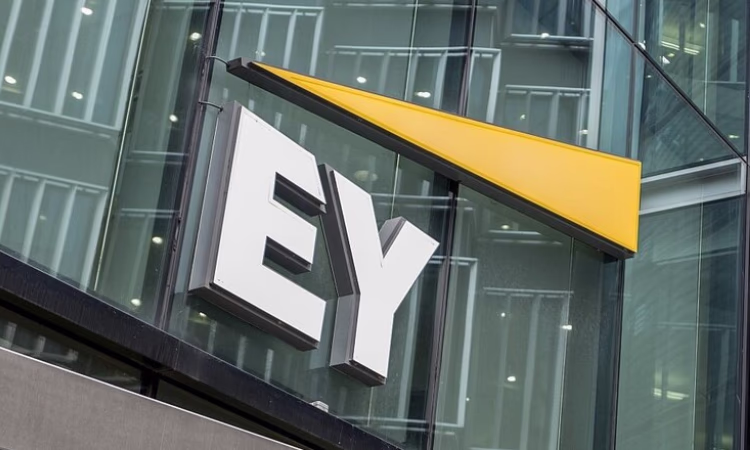 Внешний аудит Нацбанка проведет британская компания