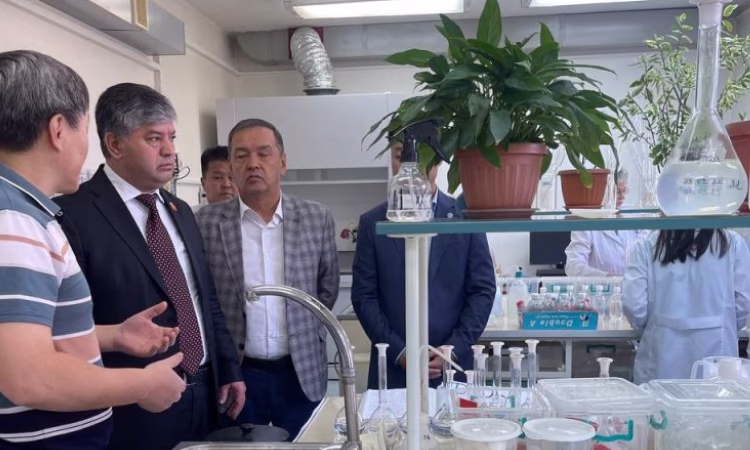 Освобождение от таможенных пошлин: рост производства и рабочие места