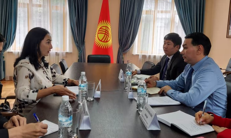 Для роста инвестиций нужно упростить визовый вопрос для инвесторов