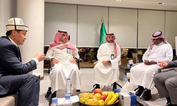 Компании Саудовской Аравии изучат инвестиционные возможности Кыргызстана