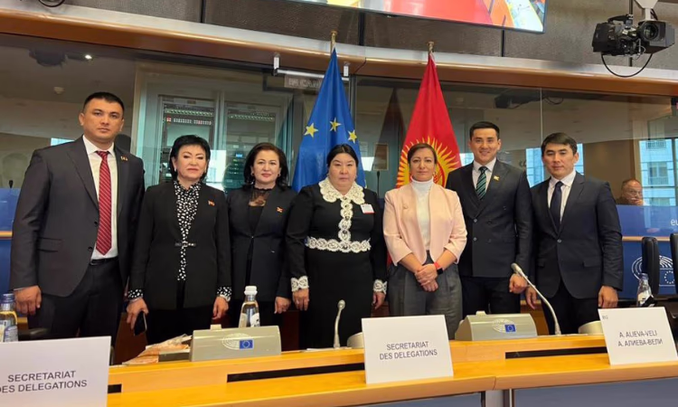 Сотрудничеству Кыргызстана и Евросоюза - 30 лет