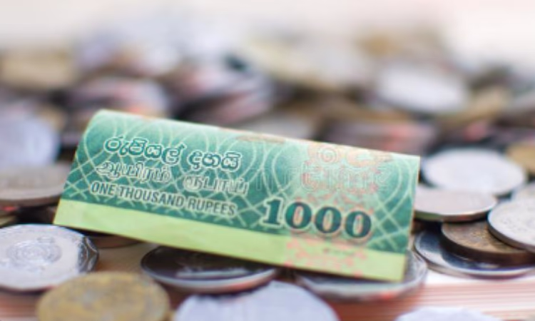 К кому обратился Минфин Шри-Ланки, чтобы решить проблему дефицита монет?