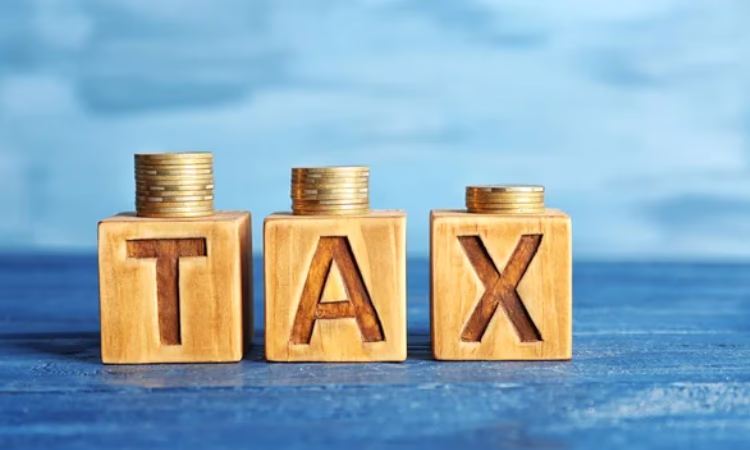 В январе ГНС собрала 17,8 млрд сомов налогов и страховых взносов