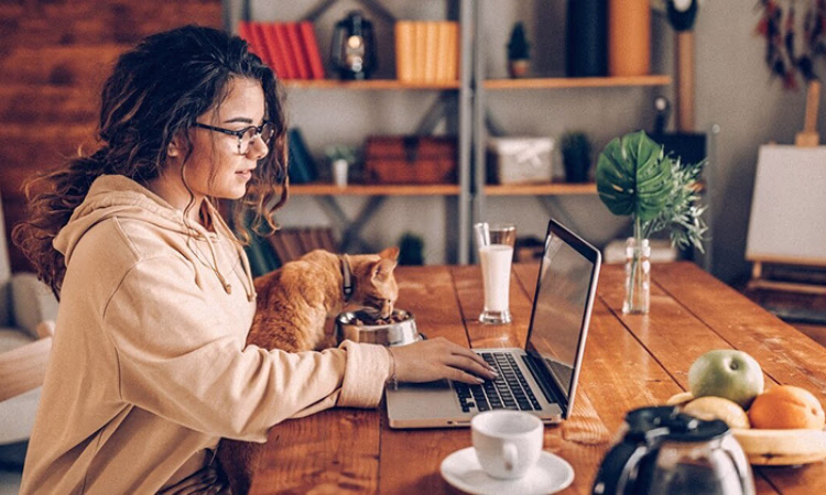 ТОП-10 особенностей трудовых отношений на удалёнке