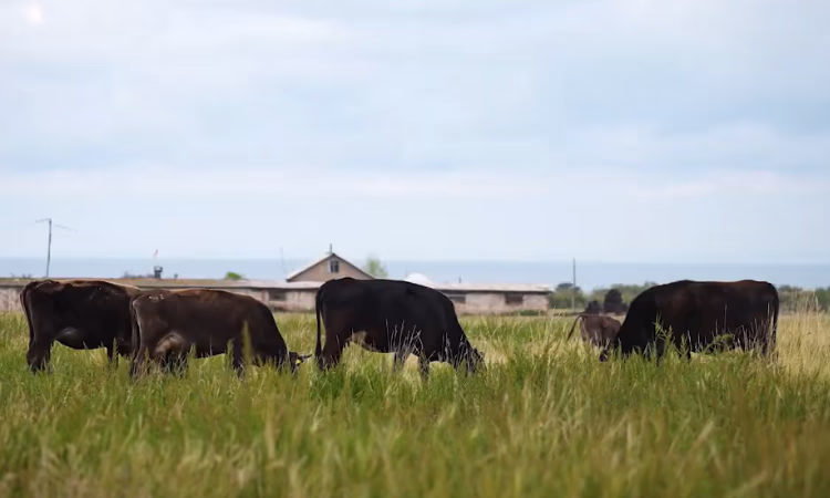 РКФР запустил информационный проект об историях успеха предпринимателей