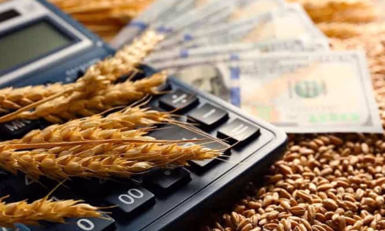 Предприниматели Ошской области получили кредиты на сумму 756 млн сомов