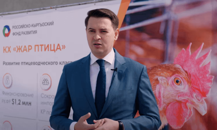 В Кыргызстане появится новая фабрика по производству куриных яиц